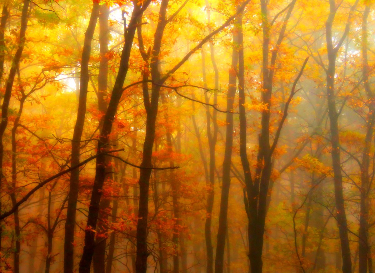 La spettacolare “Estate Indiana” e i colori d’autunno