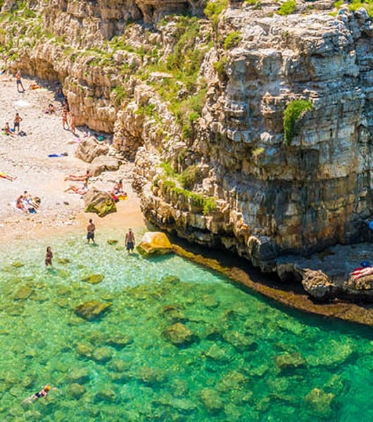 Servizi di trasporto privato a Bari