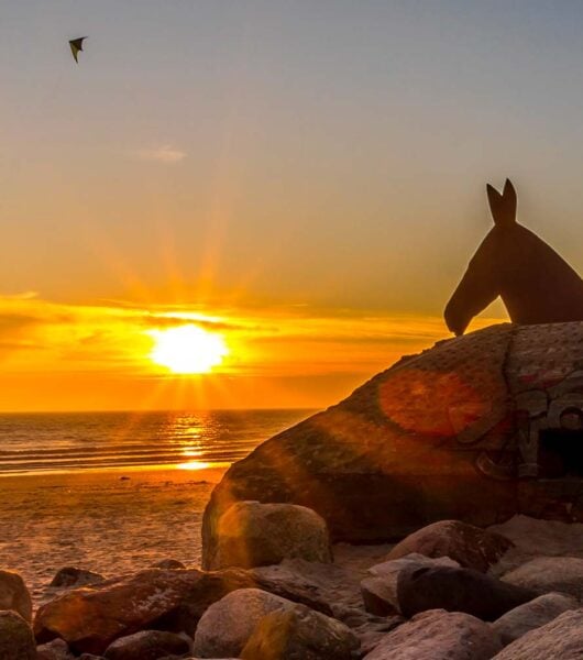 Servicios de transporte privado en Aeropuerto de Billund (BLL)