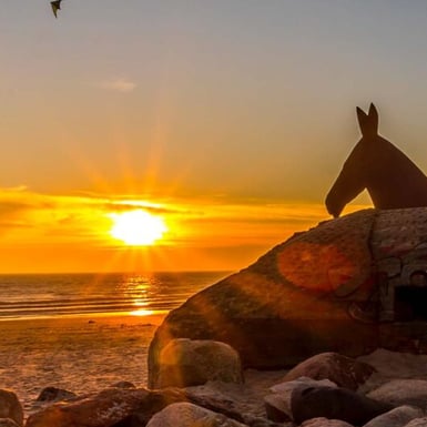 Transfer Aeroporto di Billund (BLL)