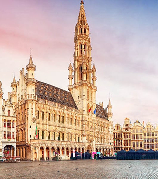 Services de transport privé à Aéroport de Bruxelles (BRU)