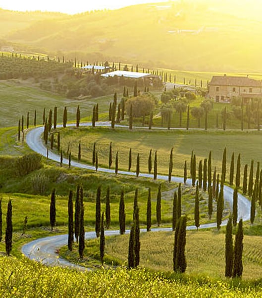Servizi di trasporto privato a Florence