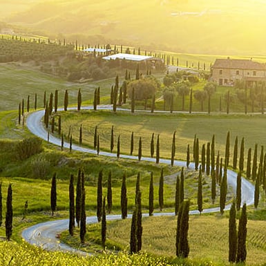 Transfer aeroporto di Firenze (FLR)