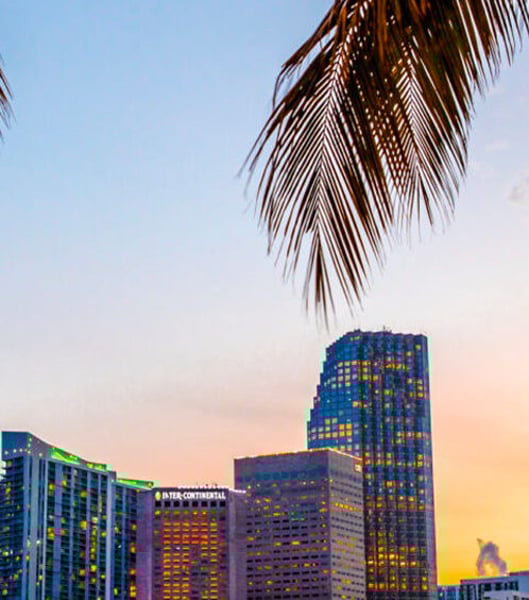 Servicios de transporte privado en Miami