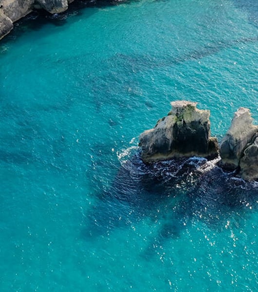 Servizi di trasporto privato a Brindisi