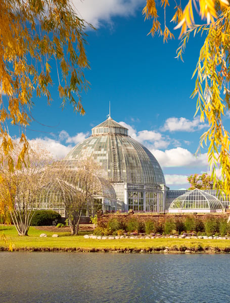 Servizi Autista & Privati a Detroit