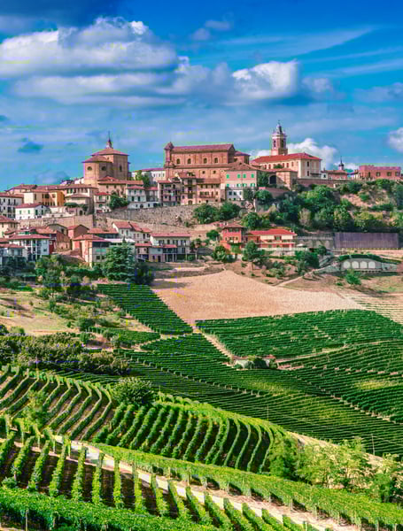 Servicios de chófer y privados en Cuneo