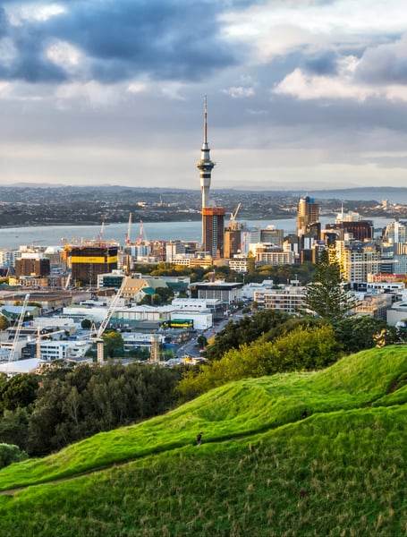 Servizi Autista & Privati a Auckland