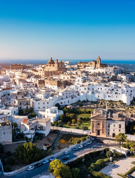 Servicios de chófer y privados en Brindisi