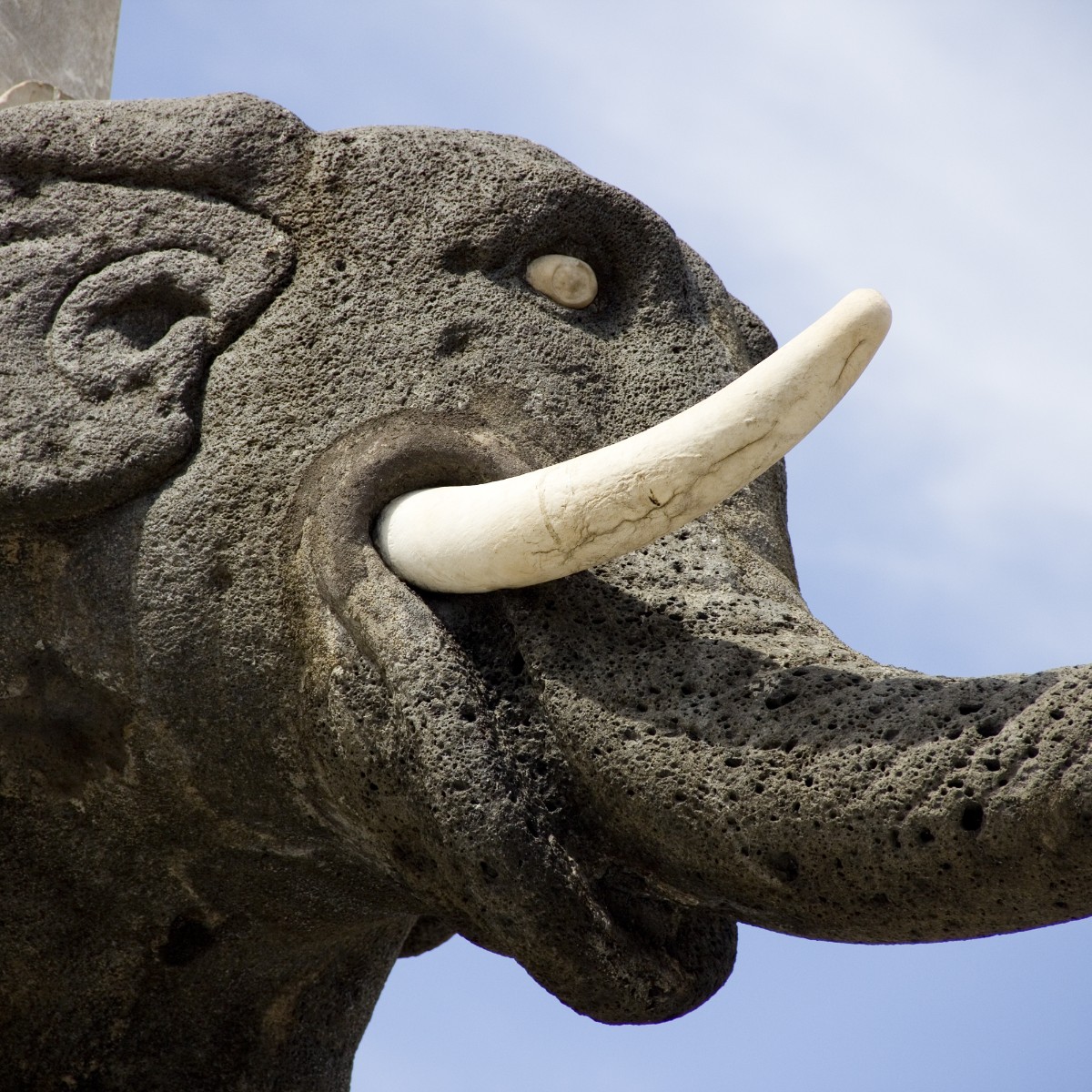 Primo piano del Liotru, l'iconica statua di elefante in pietra lavica di Catania in Piazza Duomo.
