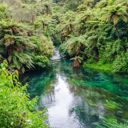 Options de transport