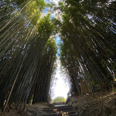 À propos de la ville