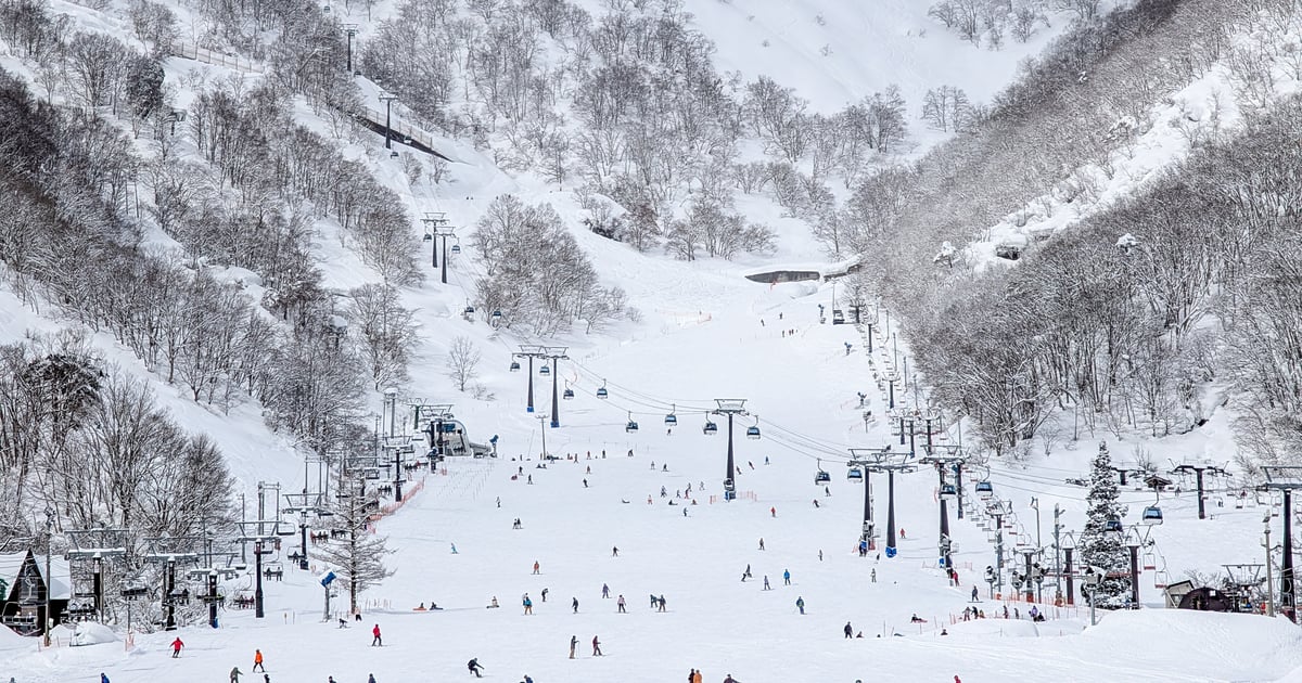 Chamonix: Olympic slopes facing the Mont Blanc | Reiseblog Transfeero