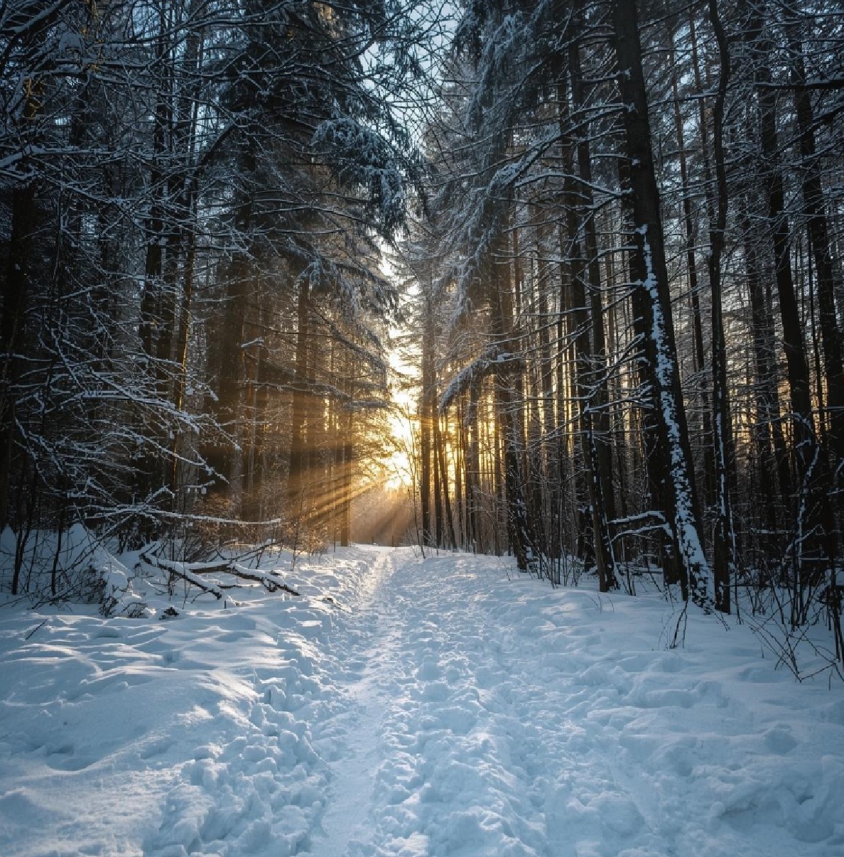 Calabria… di neve! Dove andare a sciare