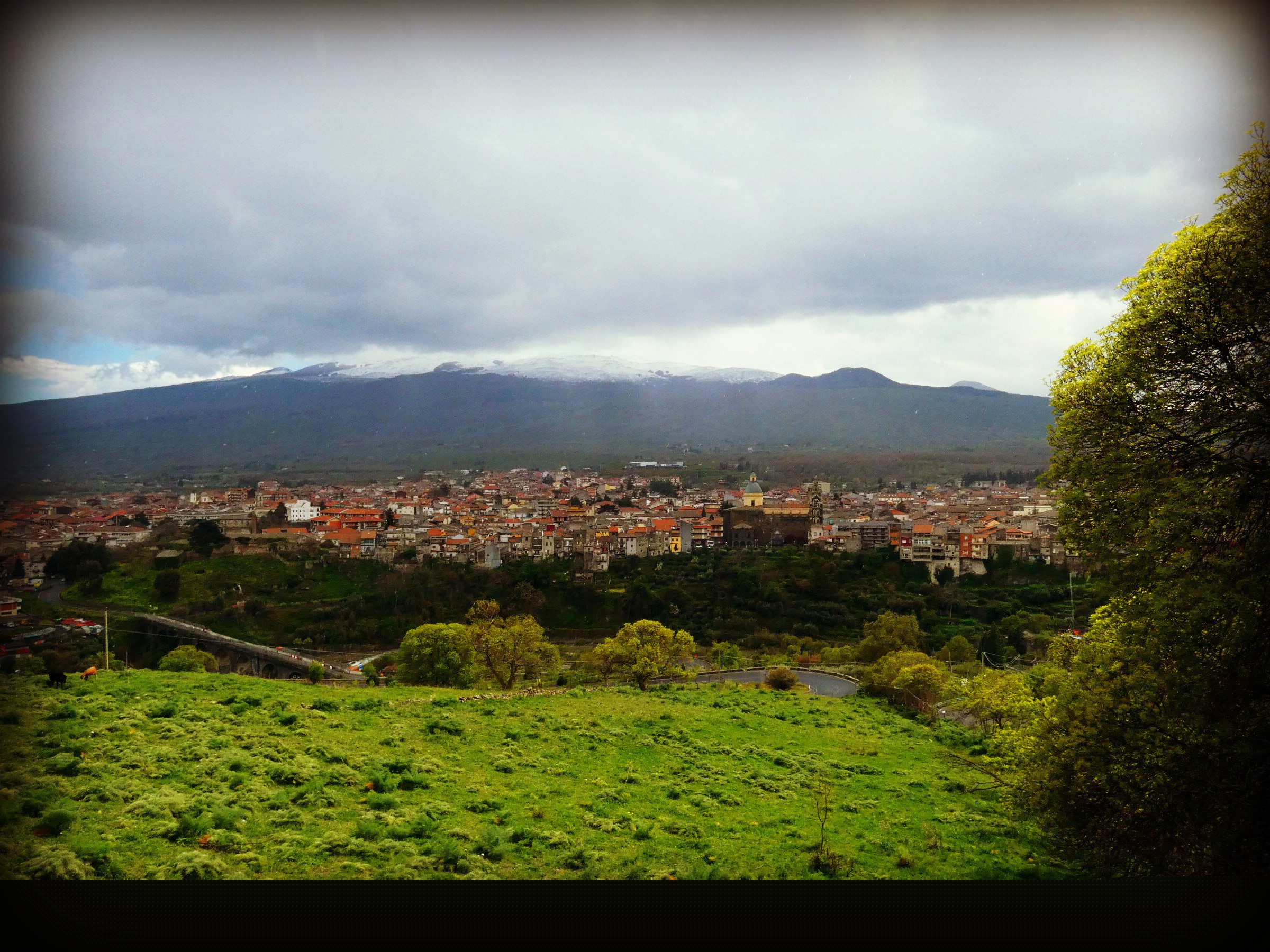 Turismo Experiencial de Primavera: Tres Ideas