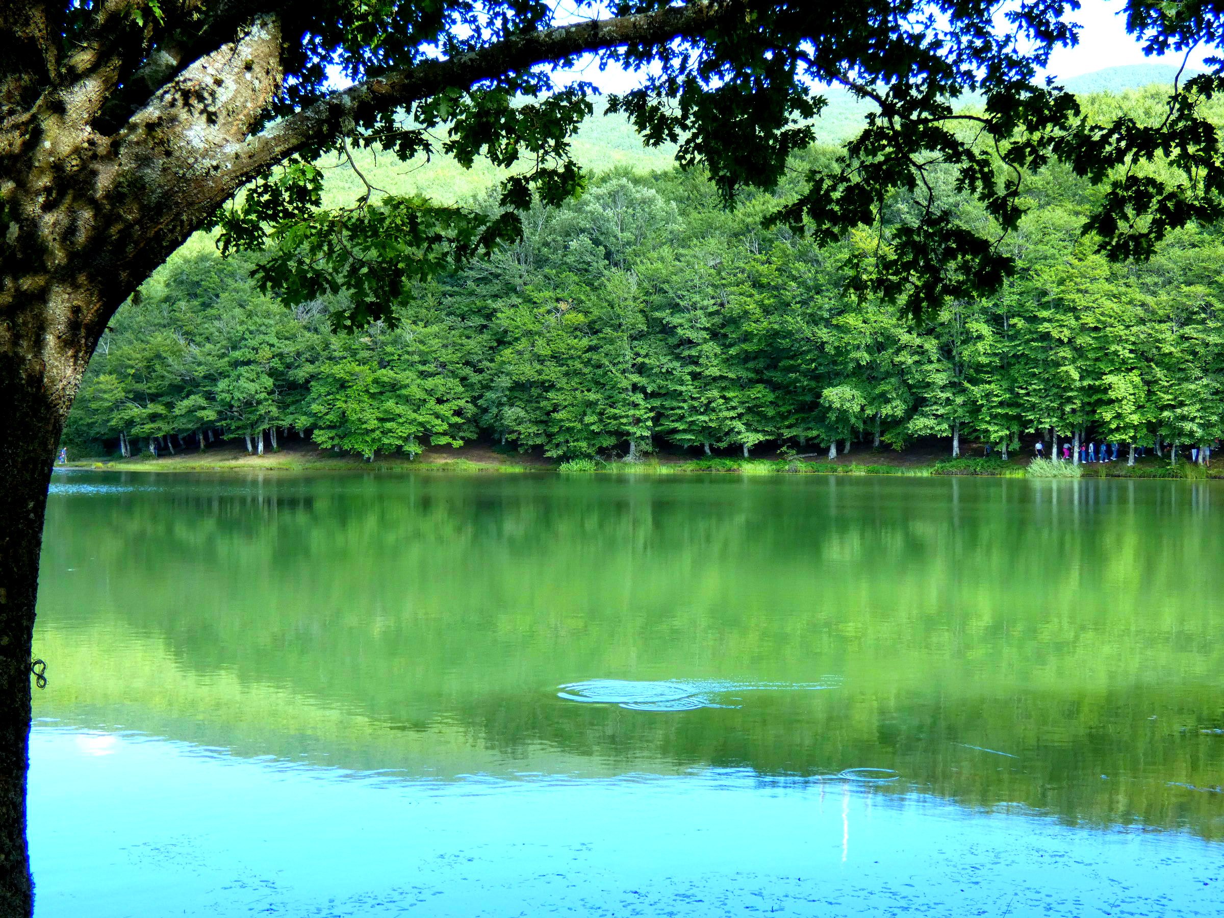 Benvenuti a Victoria: lo “Stato Verde” australiano