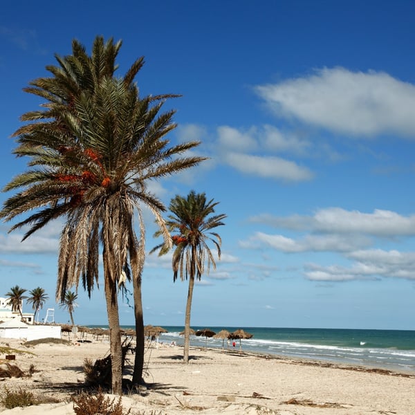 Tunisian islands: a different tiny world