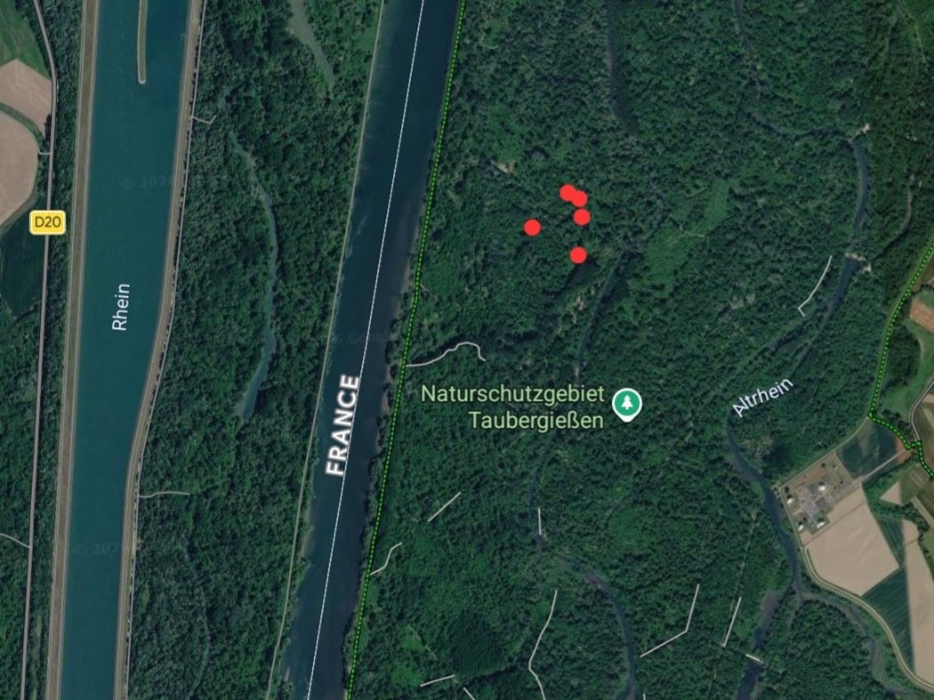Taubergießener Fundstellen