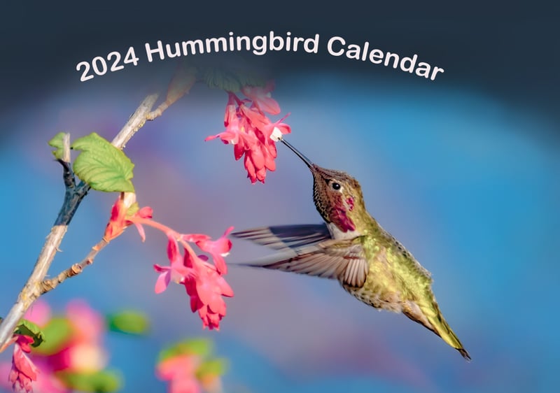 Jonathan Swanson’s 2024 Calendars