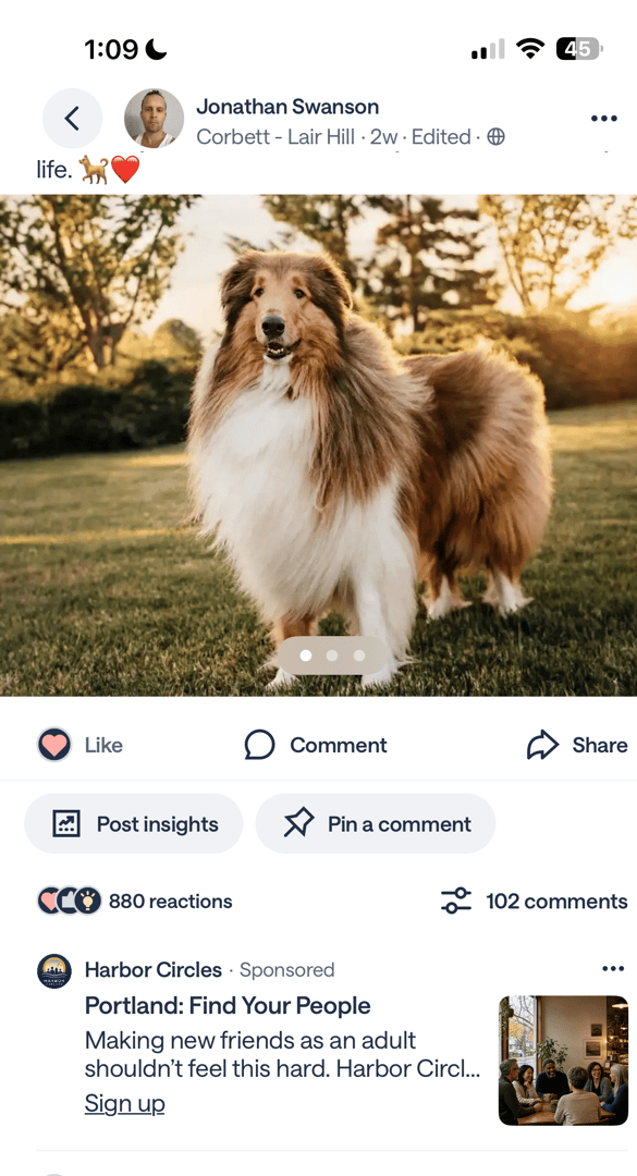 Screenshot of a second Nextdoor post by Jonathan Swanson, a collie photographed at sunset with 880 reactions and 102 comments, and a sponsored advertisement for a different company occupying the first comment slot beneath it.