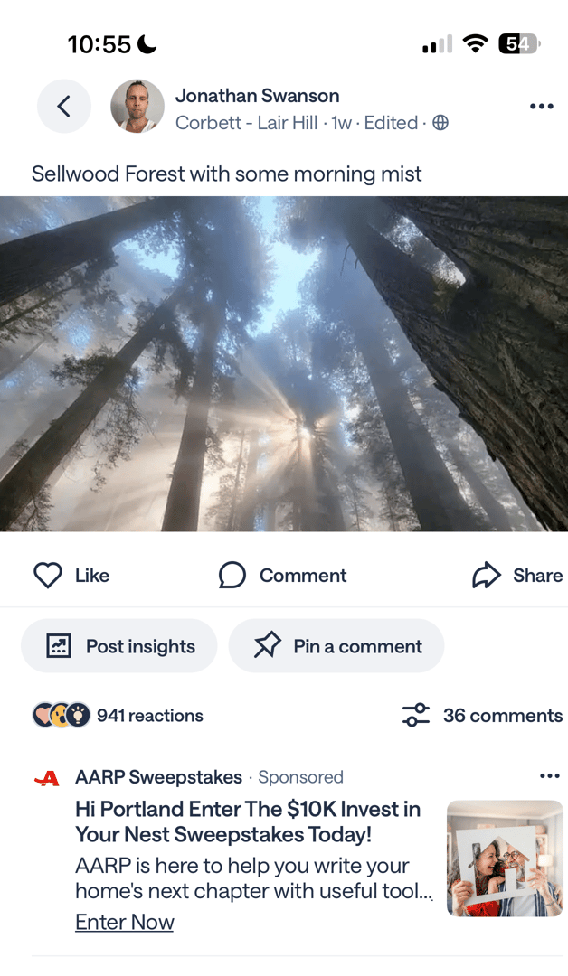 Screenshot of a third Nextdoor post by Jonathan Swanson, a photograph of morning mist in Sellwood Forest with 941 reactions, and a sponsored advertisement again occupying the first comment slot beneath it.