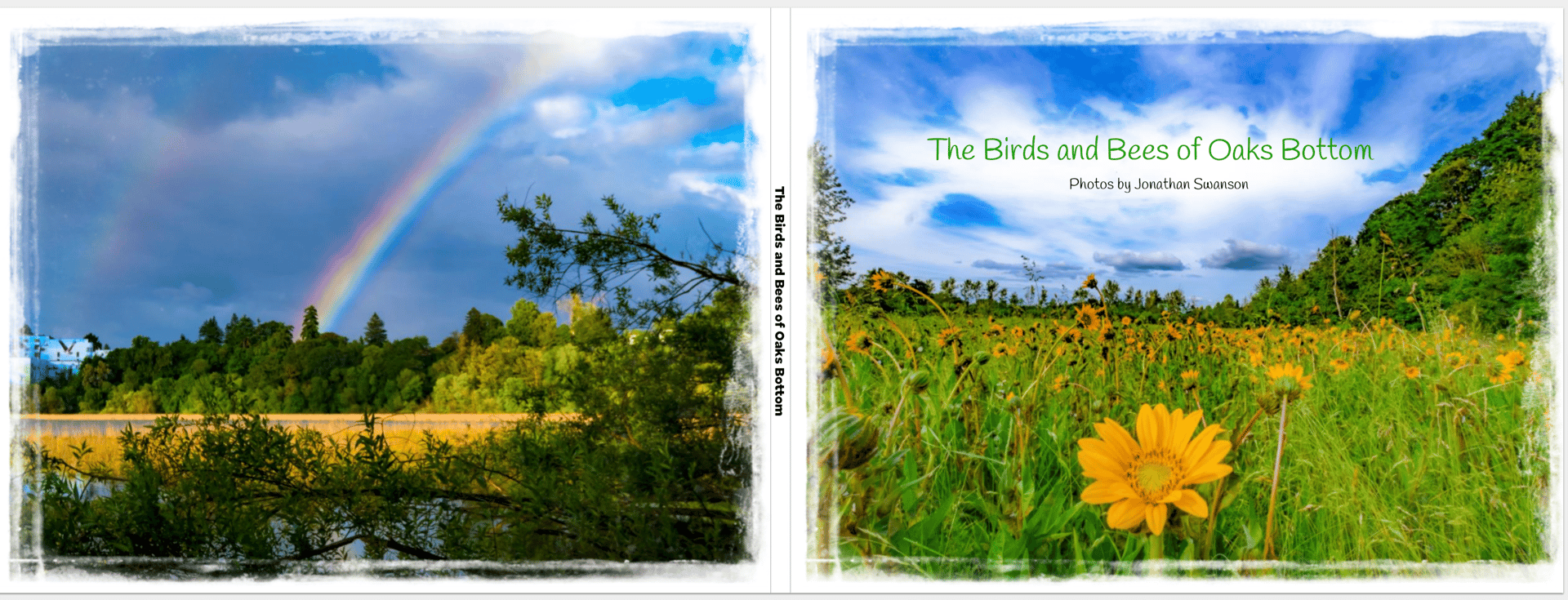 Birds and Bees of Oaks Bottom book cover