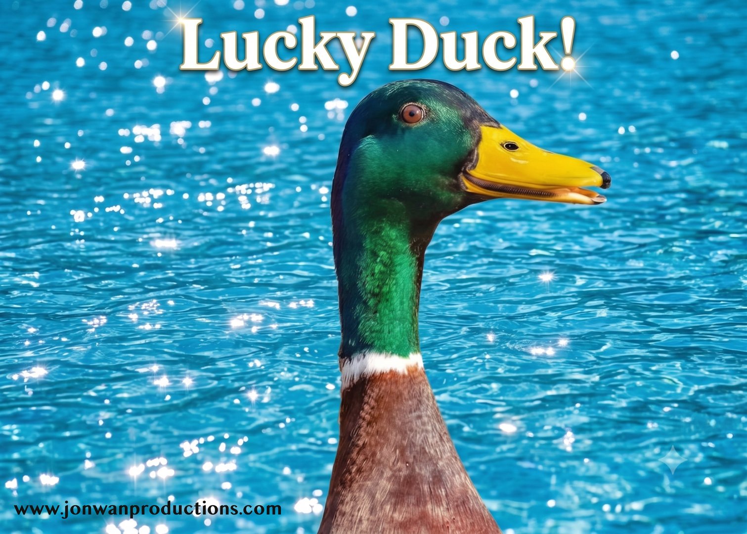 Mallard drake on sparkling blue water appearing to smile