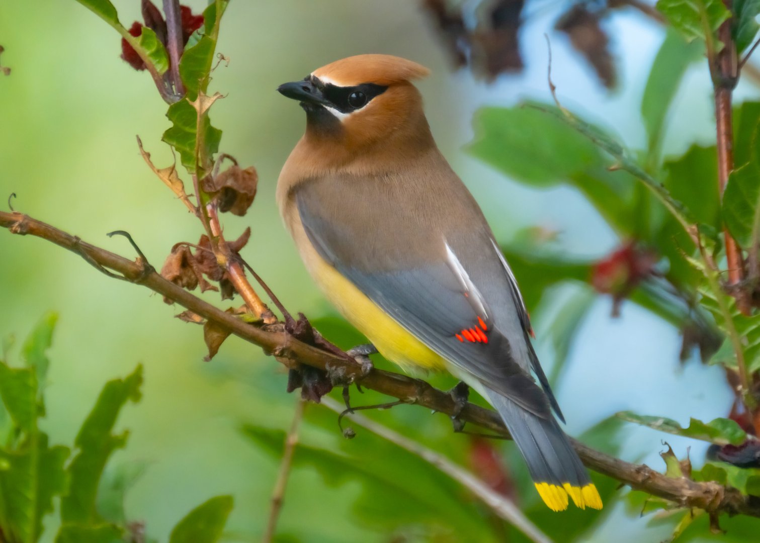 My Recent Neskowin Adventure