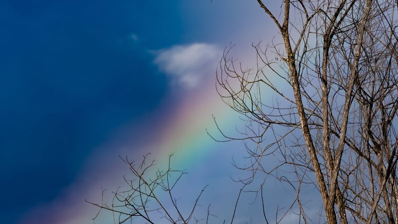 Always Chasing Rainbows