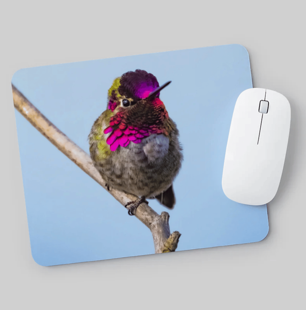 Mouse Pads