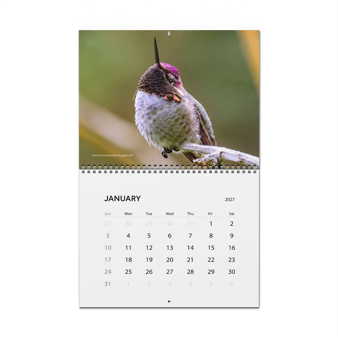 Wall Calendars Hummingbird Series 2027 Portland Oregon Nature Photography