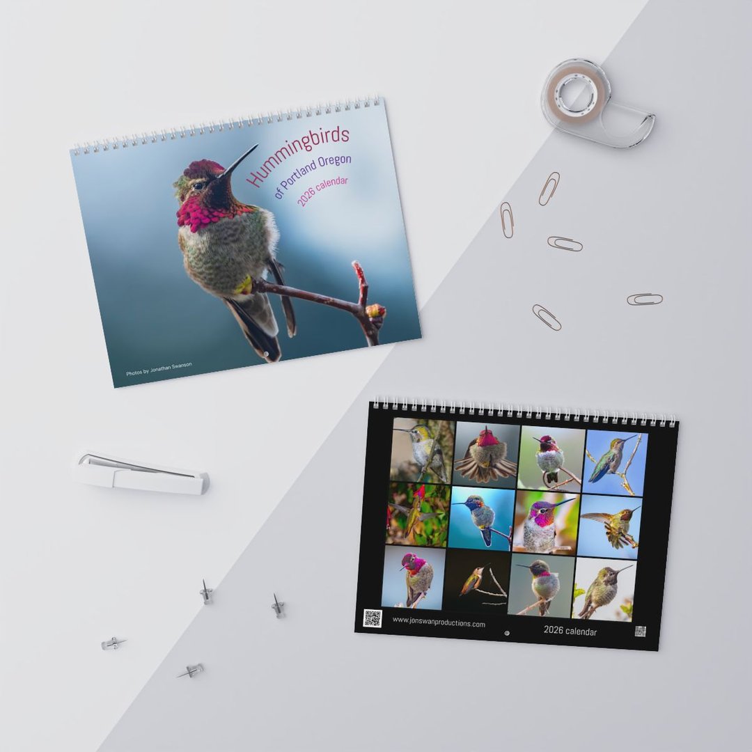 Wall Calendars Hummingbird Series 2026