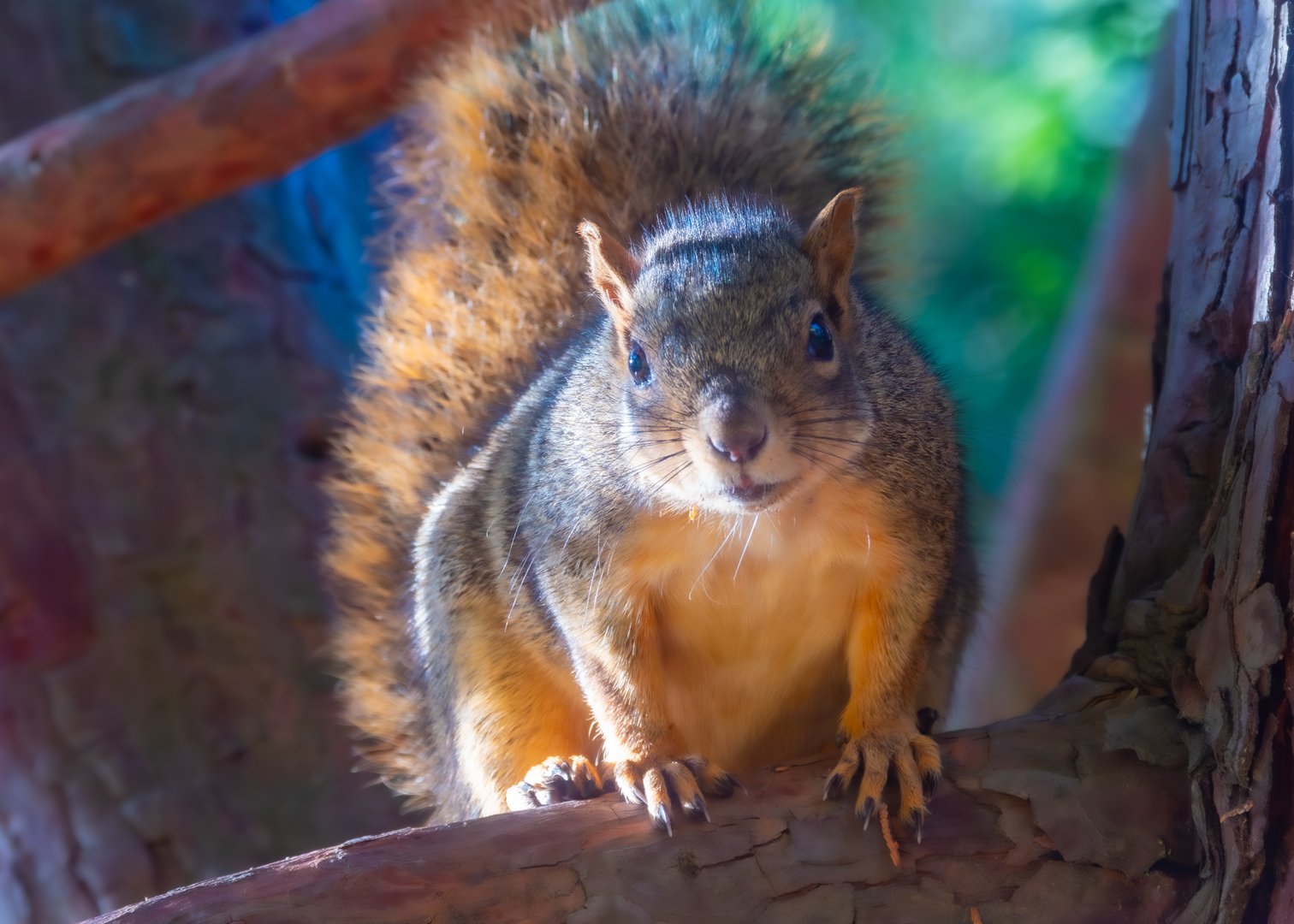 A Perfect Birthday at Oaks Bottom