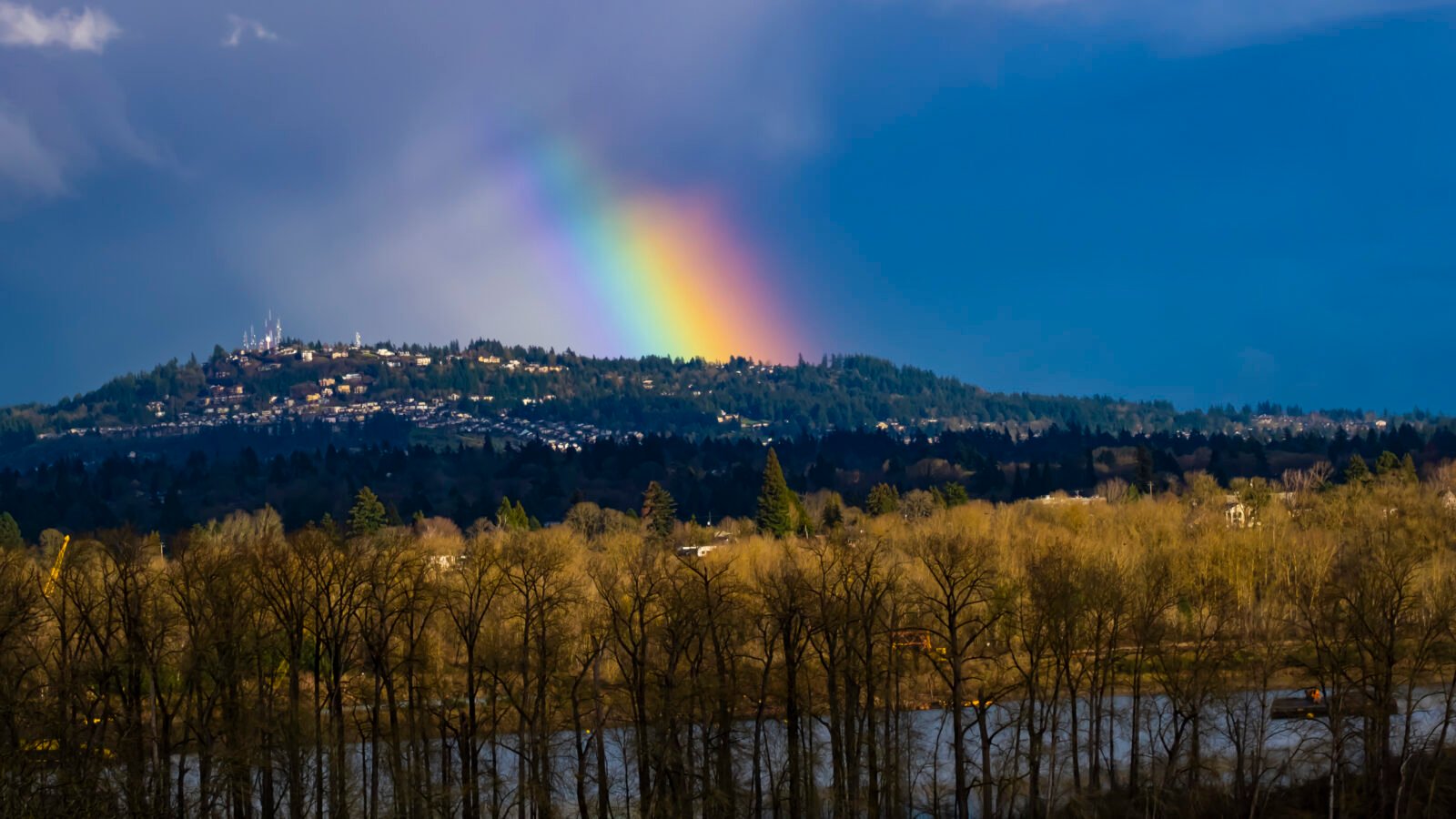 Always Chasing Rainbows