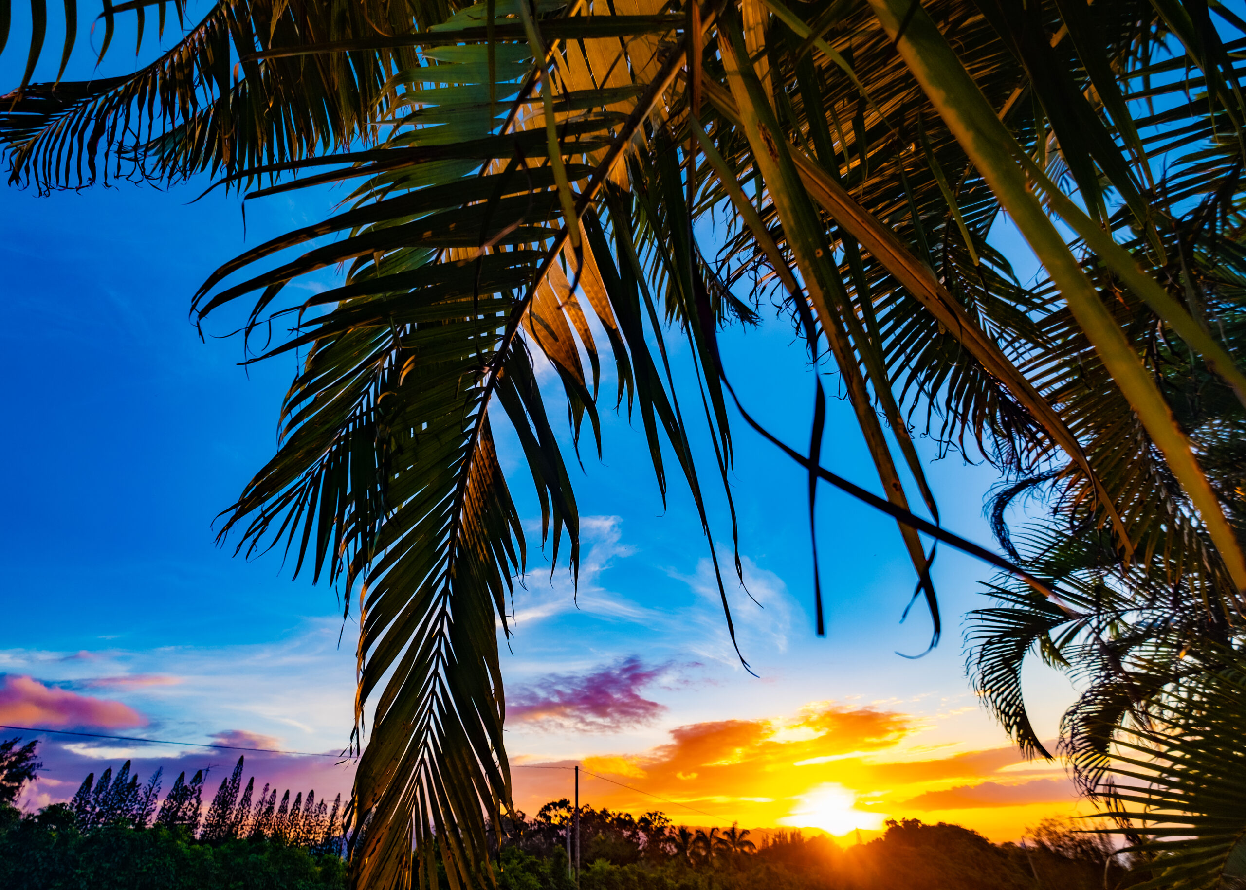My Hawaii Adventure