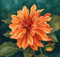 Nature’s Colorful Masterpieces