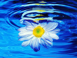 Ephemeral Beauty: The Art and Symbo...