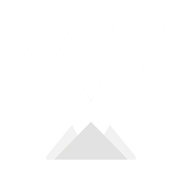 Vandal Store