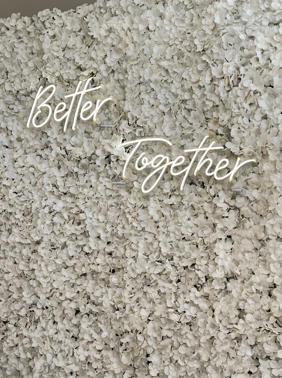 White flower wall backdrop with an illuminated Better Together neon sign