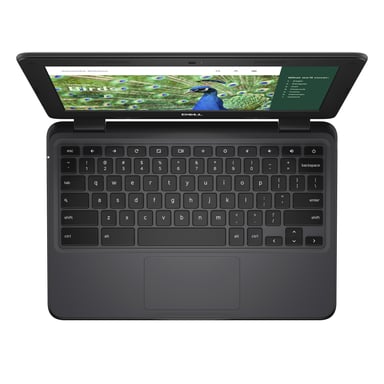 DELL Chromebook 3120 Intel® N N100 29,5 cm (11.6'') Pantalla táctil HD 4 GB LPDDR5-SDRAM 64 GB eMMC Wi-Fi 6 (802.11ax) ChromeOS Nórdico Negro