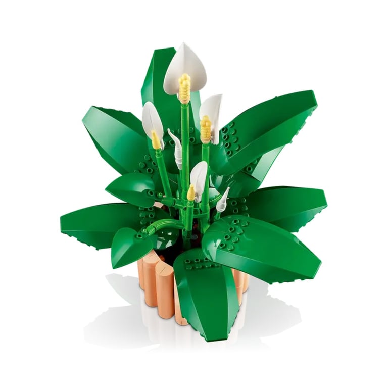 LEGO Botanicals Les Fleurs de Lune 11504 - vue 8