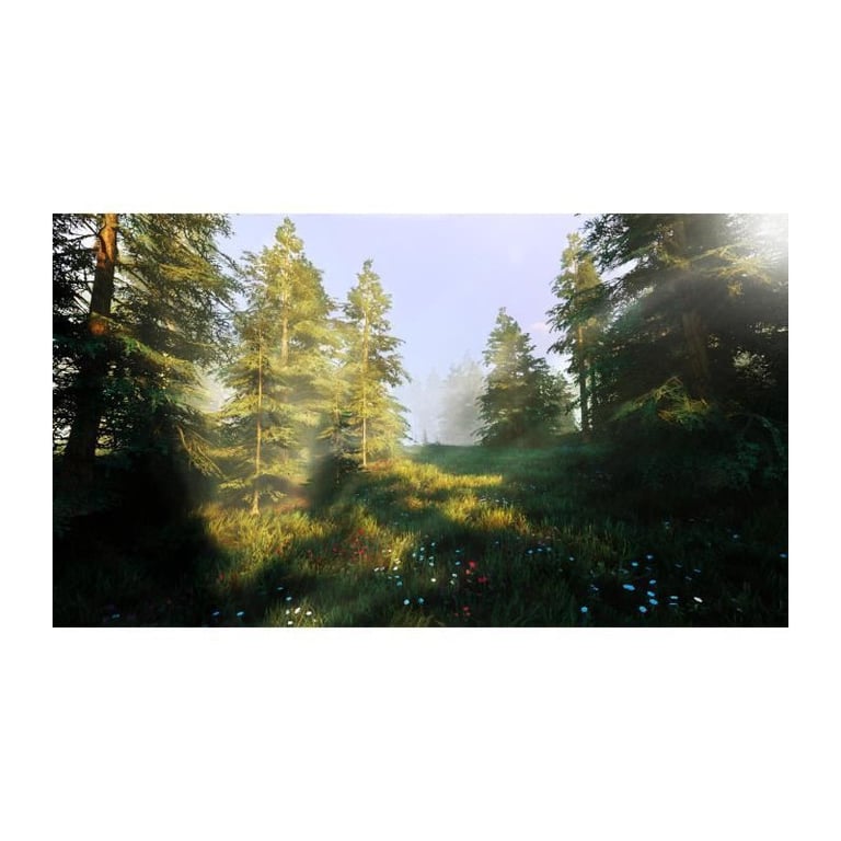 Hunting Simulator 2 Ps4 - vue 4