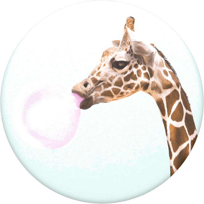 Bubblegum Giraffe