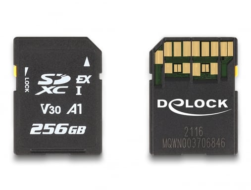Delock Scheda di memoria SD Express da 256 GB
