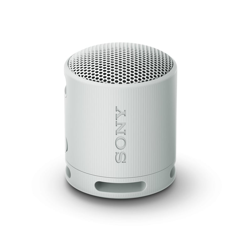 Sony SRS-XB100 Enceinte portable mono Gris - Neuf