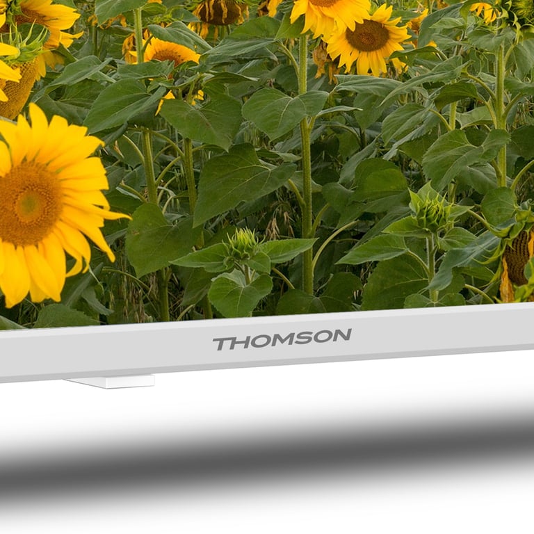 Thomson 24HA2S13CW 60cm HD Android Blanco LED TV con 2 años de garantía