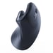 Gembird MUSW-ERGO-03 souris Maison Droitier RF sans fil Optique 1600 DPI