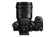 Panasonic Lumix S5II + S 20-60MM F3.5-5.6 + 50mm F1.8 MILC 24,2 MP CMOS 12000 x 8000 pixels Noir