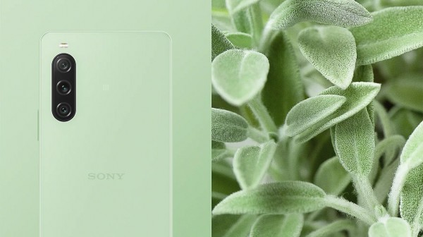 Sony Xperia 10 V - vue 3