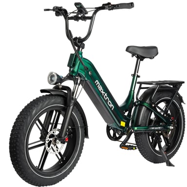 Vélo Électrique MAXTURN Camel - Moteur 250W Batterie 48V18AH 20'' Frein à Disque Hydraulique - Vert